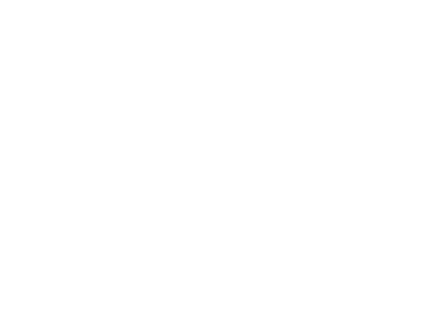 aldo-logo-01-w