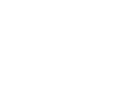 guess-logo-01-w