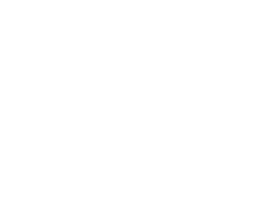 instreet-logo-01-w