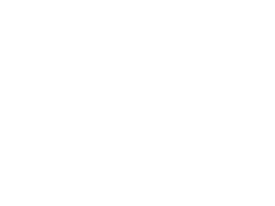lee-logo-01-w