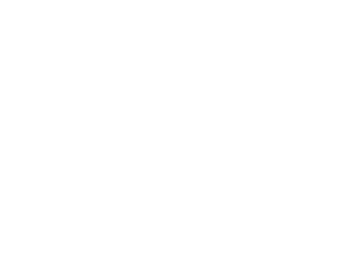 massimo-logo-01-w