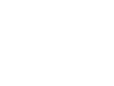 reebok-logo-01-w