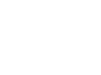 stradivarius-logo-01-w