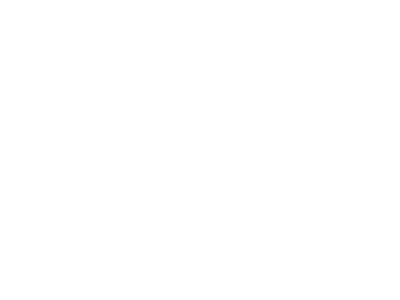 tommy-logo-01-w