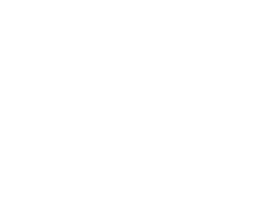vfs-logo-01-w