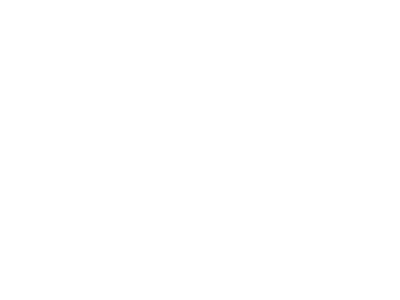 wendys-logo-01-w